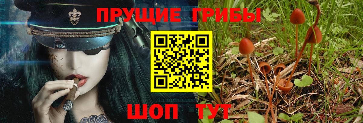 Псилоцибиновые грибы прущие грибы Пыть-Ях